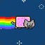 Kitty