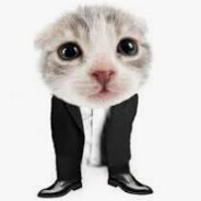 миша гумернатор