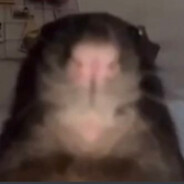 EpicKaden