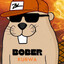 BOBER KURWA