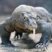 小熊草莓软糖酱