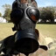 soldado mosca