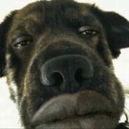 ego1st - steam id 76561198085763719