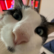 TAM_