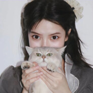 智慧大鹅不秃头