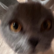 Miau69 - steam id 76561198227396560
