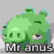 Mr anus