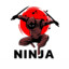 Ninja - RL Trader