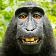 monke