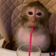 Роскошный УЗБЕК