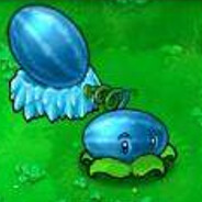 不抽华子我咳嗽