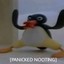 pingu