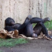 是故意的还是不小心