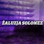 ✪ żaluzja solonez