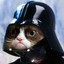 Darth Sphynx