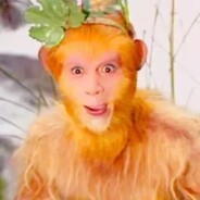 花果山美猴王齐天大圣