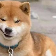 —和夜け泛雨…