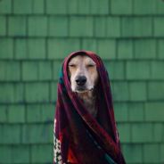 Tarcísio Pussydónio