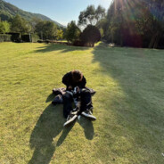 小姨家的傻小子