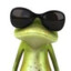 BLIN D. FROG