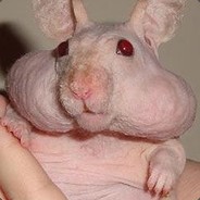 Gretchin