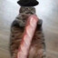 ՓթȺℍųẏՅ
