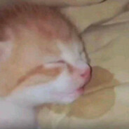 пидорс энд пуссис