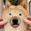 breadog