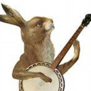 Banjo Bunny