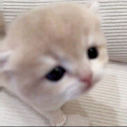 Yuuu