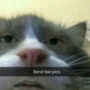 gammelman's Steam avatar