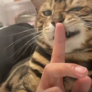 下等马给我田忌吧