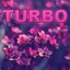 Flower_TURBO ¯\_(ツ)_/¯