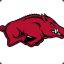 razorbackfever