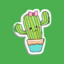 CACTUS | E a Merda do Dede