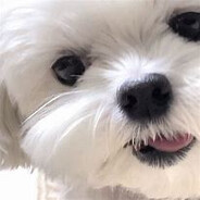 我叫培强你记住