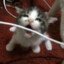 Crispssy