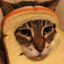 Cat or Bread