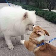 旋转跳跃闭着眼