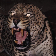 Bushmaster - steam id 76561198313891471