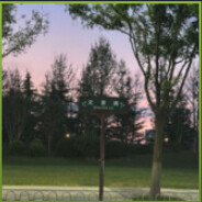 到处飞的小蝴蝶