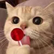 走路别踢电线杆