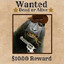 wanted-monkey