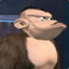 Bluster Kong