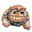 SomeMonki