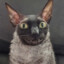 Ҝㄖㄒㄒ