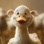 Mooduck