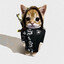 Steam avatar