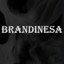 .brandinesa