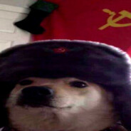 собака капитан мл